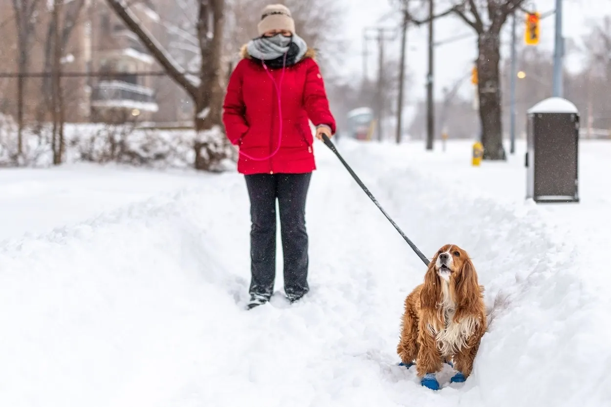 Prognoză specială pentru București: ninsori abundente, în weekend - strat de zăpadă de 15 cm