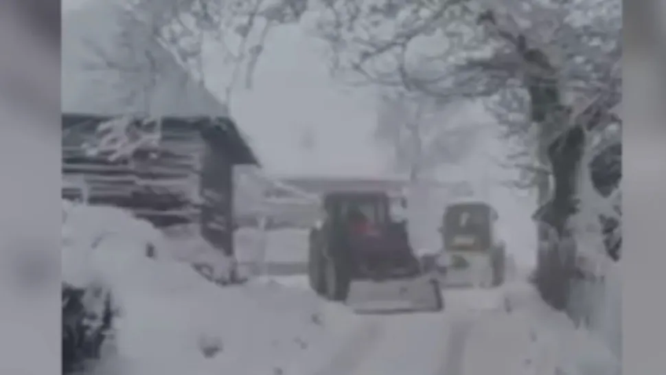 Viscol/ Captură video
