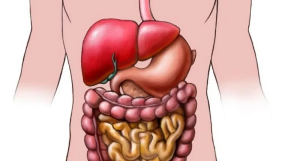Alimentul care se digeră abia după 3 zile - otravă pentru organism. Și tu îl consumi frecvent! 