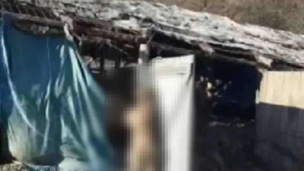 Scene de groază într-un adăpost de animale din județul Cluj. Bivoli morți și un câine spânzurat - FOTO