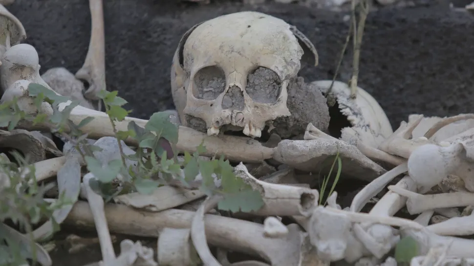 Descoperire macabră în Buzău. Craniul unui om, găsit de localnici în pădure