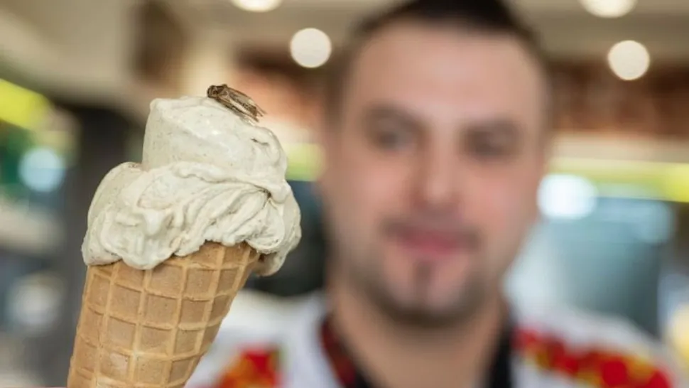Meniul de insecte se diversifică. A apărut înghețata de greier