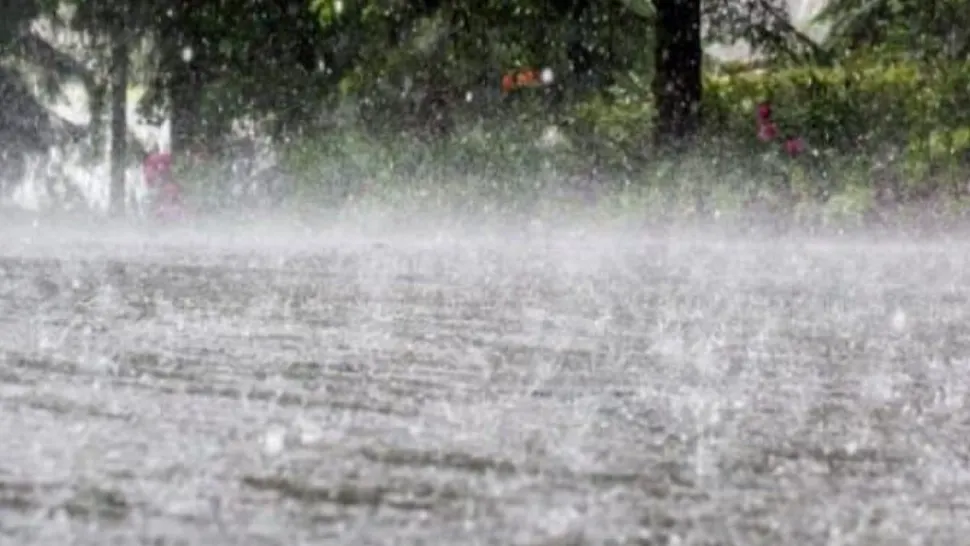 ANM, prognoza meteo actualizată | Furtuni și vijelii extrem de puternice în 5 județe