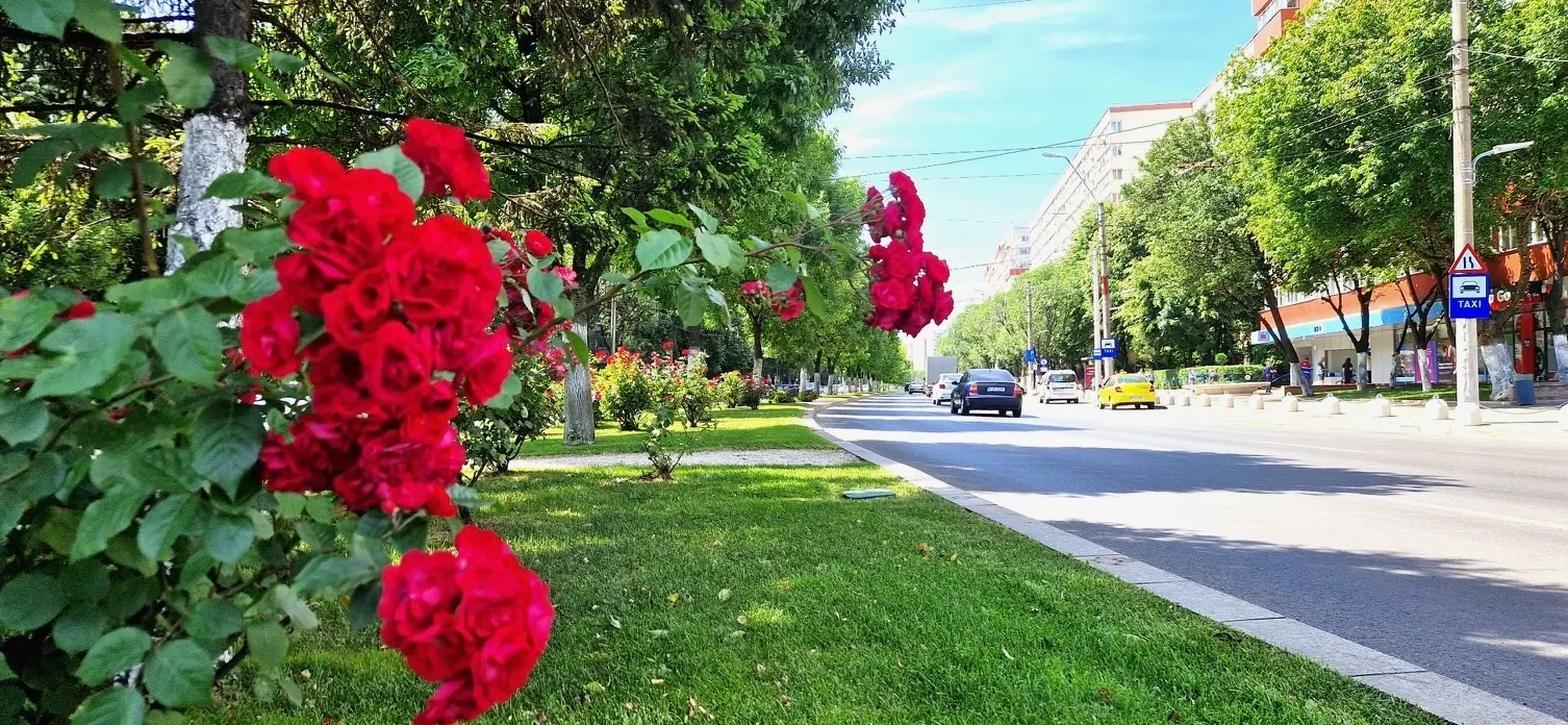 Cum întâmpină vara Obregia și Giurgiului, două dintre perlele Sectorului 4