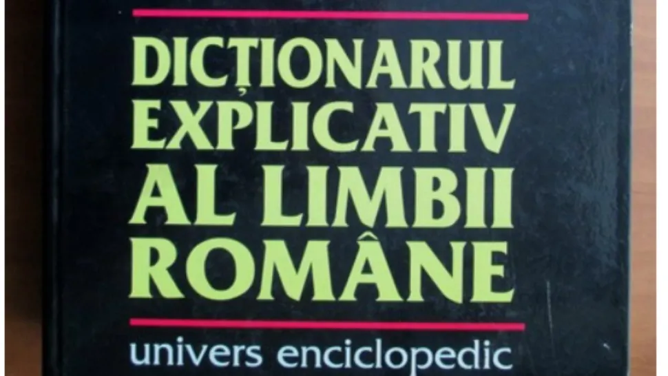 DEX/ Captură foto