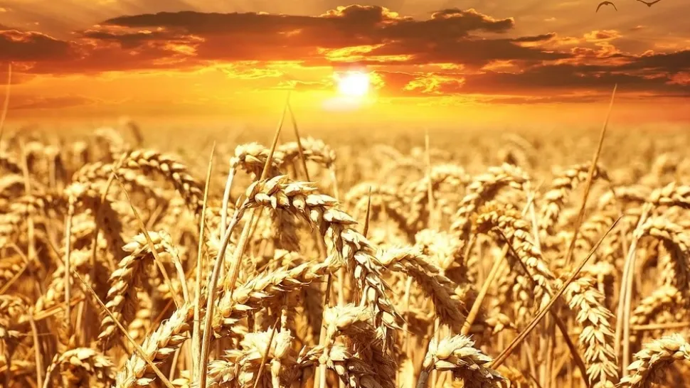 România, traversată de un val de aer tropical: temperaturi de până la 35 de grade! Când revin furtunile violente
