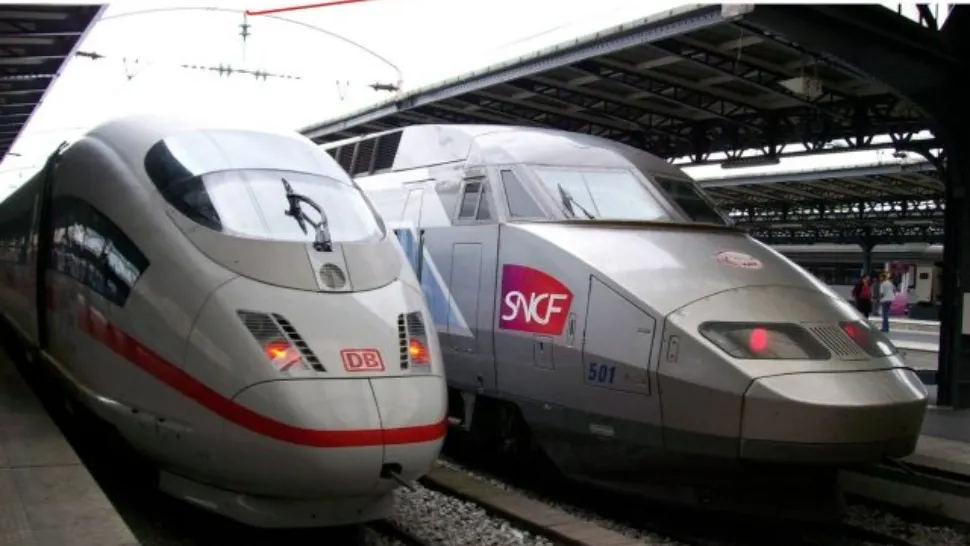 Pisică omorâtă de un tren de mare viteză, în Franța. Stăpânii animalului au cerut condamnarea companiei de căi ferate