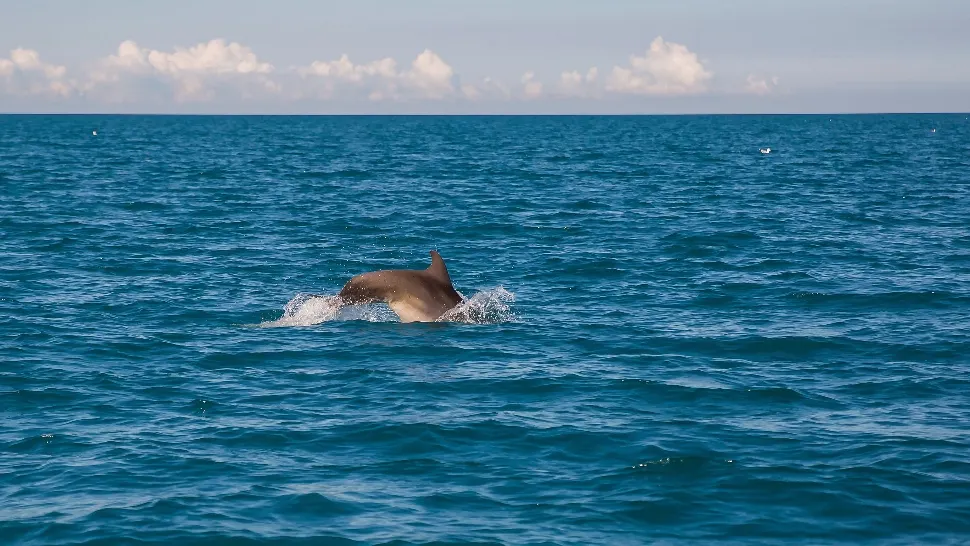 De unde vine numele de Marea Neagră? / Foto: Inquam Photos
