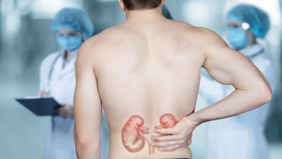 10 obiceiuri care iti strica rinichii. Foto/Profimedia