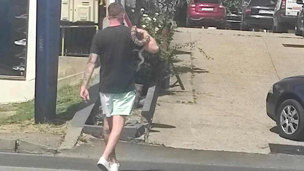 Un tânar a ieșit la plimbare cu un șarpe pe străzile din Târgu Jiu. Foto: Gorj Online