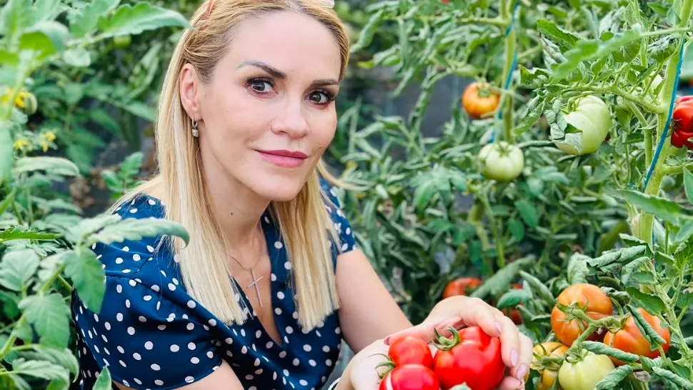 Gabriela Firea și Emil Boc/ Facebook