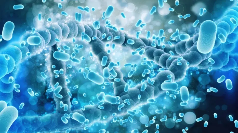 Alertă în Polonia: Focar de Legionella, bacteria mortală, la granița cu Ucraina - Cel puțin 5 morți după infectarea cu „boala legionarilor”