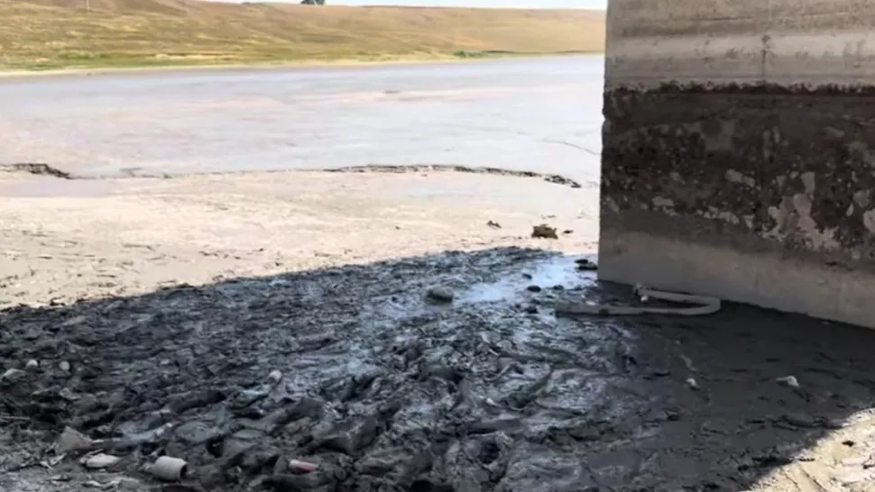 Un iaz a secat din cauza caniculei în județul Suceava. Foto: Captură YouTube