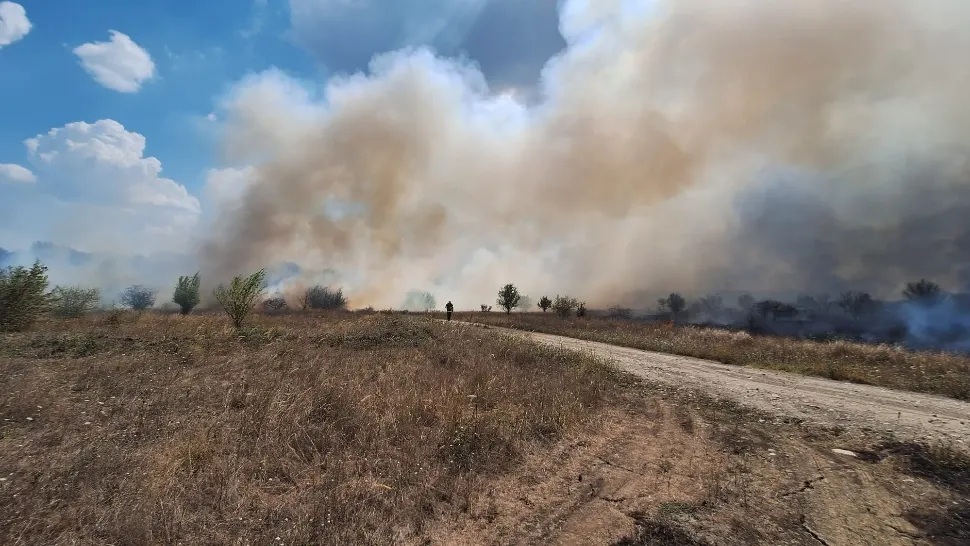 Incendiu de proporții lângă Pădurea Băneasa. Intervenție masivă a pompierilor, o casă afectată - FOTO/VIDEO