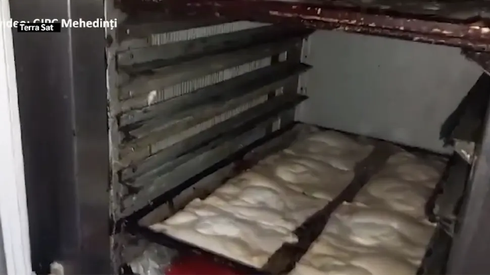 ATENȚIE la ce mâncăm! Gândaci, ulei refolosit, mizerie și rugină la o covrigărie și un magazin alimentar din Mehedinți - Ce măsuri s-au luat