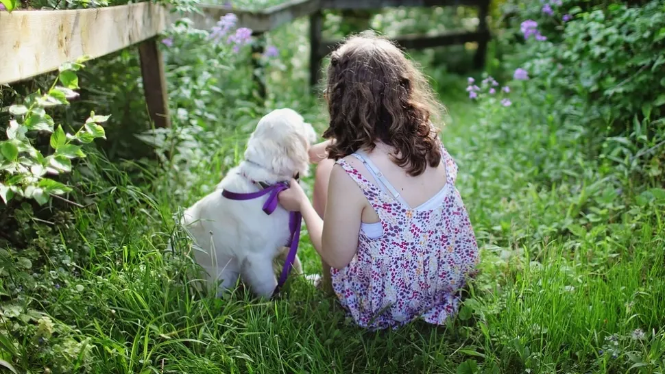 O fetiță pierdută într-o pădure a fost găsită dormind alături de câinii familiei