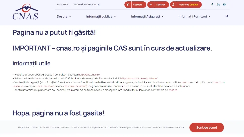 CNAS caută specialiști pentru un sistem informatic în pragul colapsului