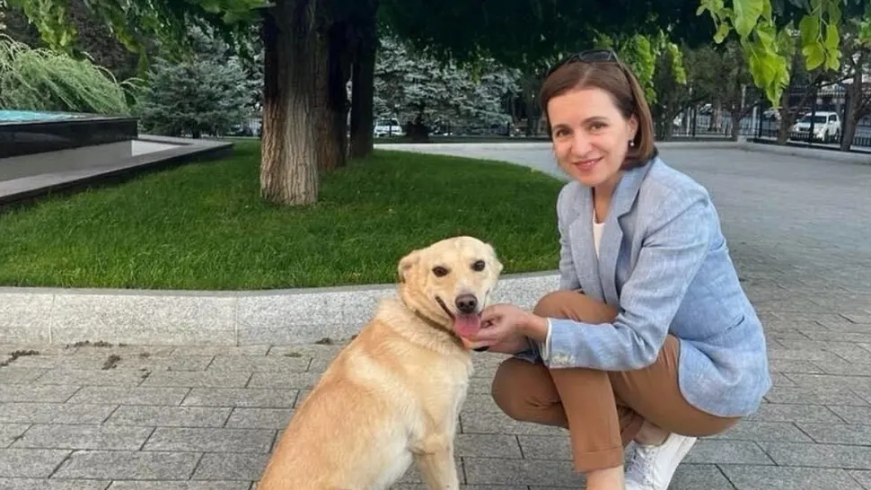 Maia Sandu, fotografie virală alături de Codruț, cățelul salvat după ce l-a lovit mașina
