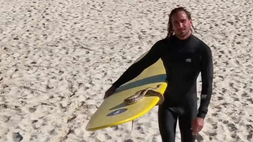 Amendă pentru că a făcut surf cu un ȘARPE la gât. Ce regulă a încălcat? - VIDEO