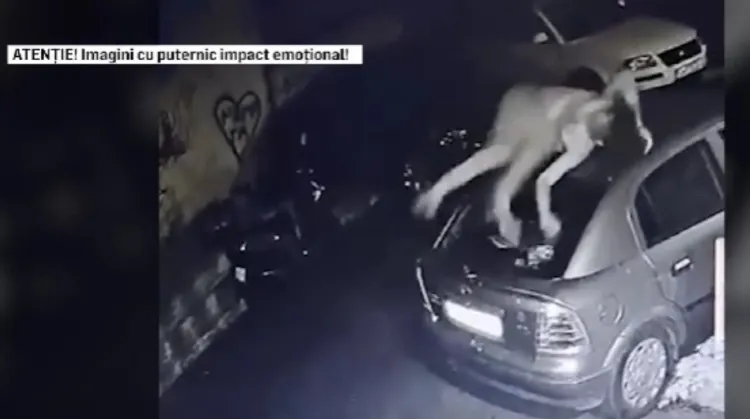Incident Capitală/Captură video
