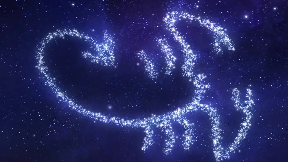 Scorpion