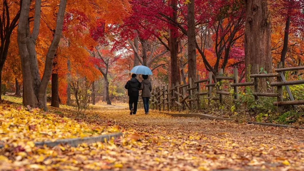 Prognoza meteo pe o lună. Temperaturi neobișnuit de mari în octombrie. Când încep ploile 