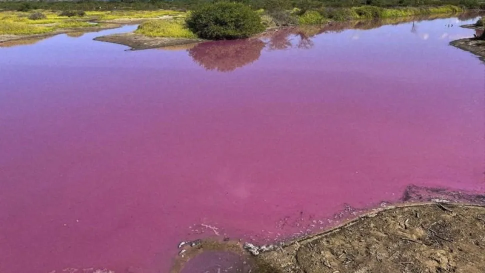Un lac din Hawaii a căpătat culoarea Barbie! Explicația incredibilă pentru care apa a devenit roz/ Foto: X know the Unknown