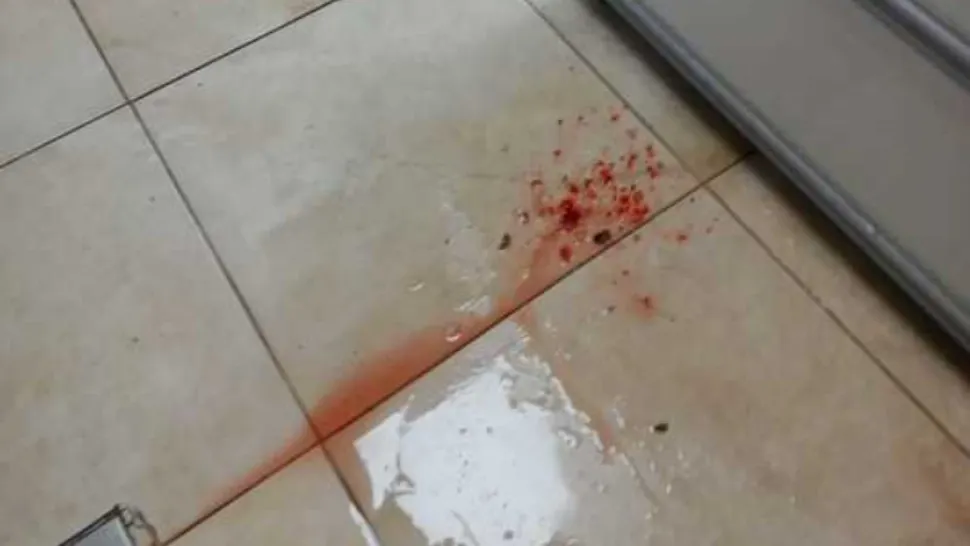Nereguli grave descoperite de ANPC în Piața Astra din Brașov/Foto: ANPC