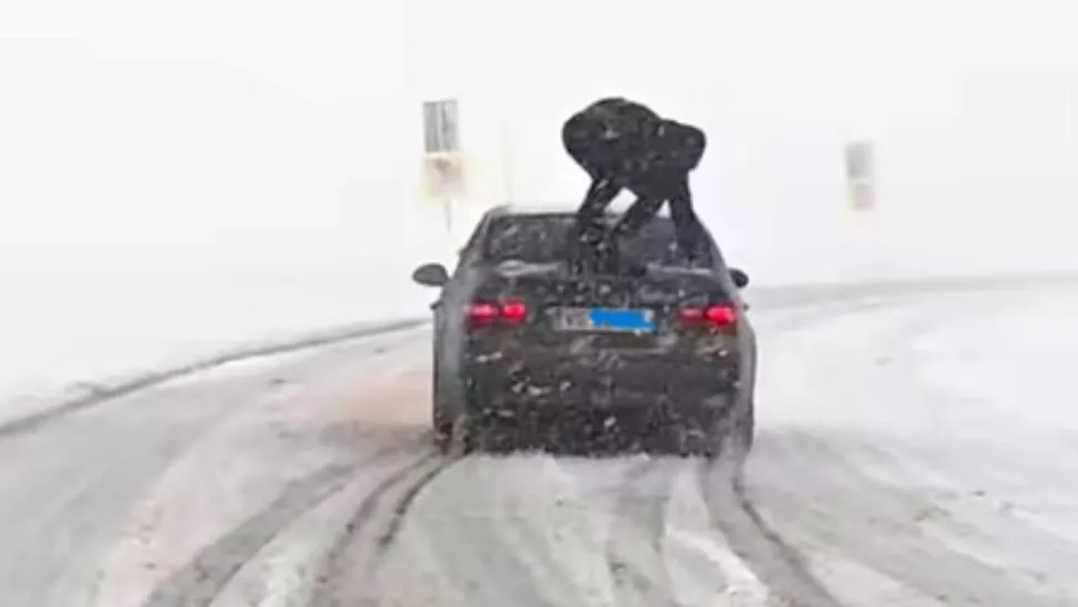 Poliția, reacție spumoasă în cazul vasluianului care s-a urcat pe capota mașinii în MERS - VIDEO