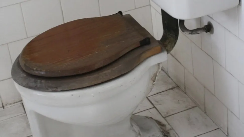 Angajații guvernului au adeverințe că au conractat stafilococul din toaletele instituției