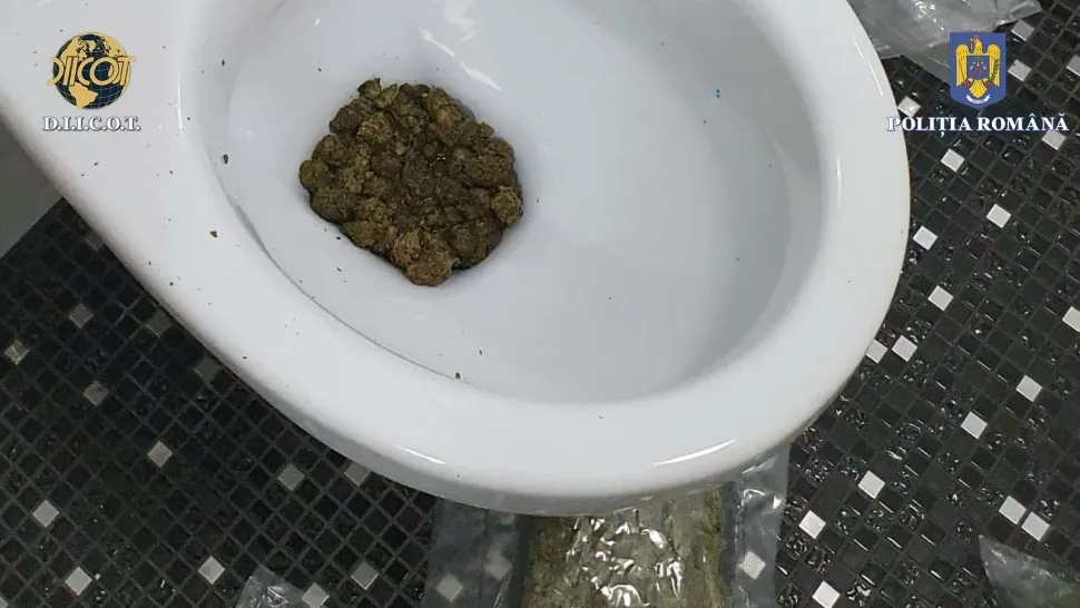 Droguri in WC