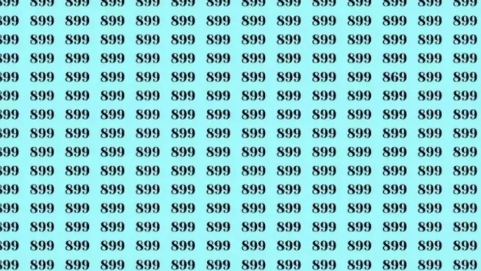 Găsește numărul 869 în marea de numere 899! Ai un IQ peste medie dacă poți să faci asta/ Captură foto