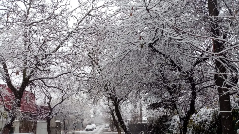 Ce se întâmplă după ninsoarea din București? Avertismentele meteorologilor pentru dimineața zilei de vineri