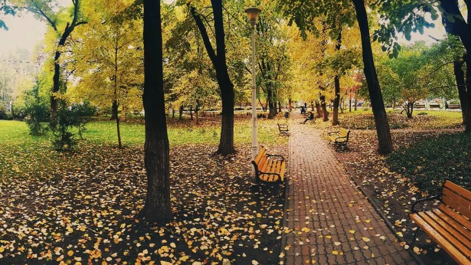 Parcul Tei. Foto: Facebook