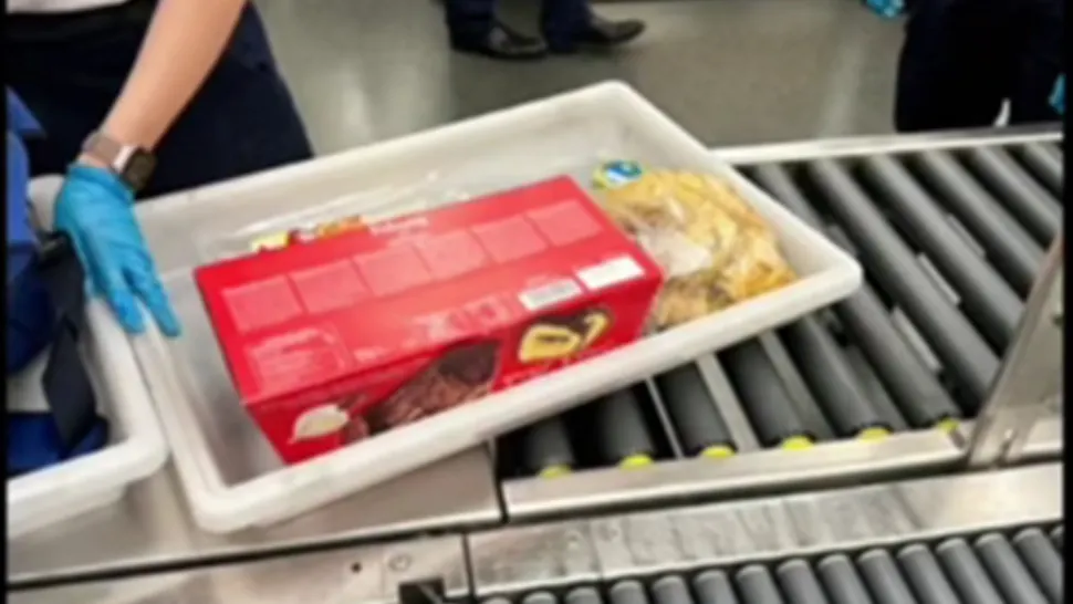 Tiktokeriță româncă, postare virală despre cum treci de control la aeroport cu sarmale congelate - VIDEO