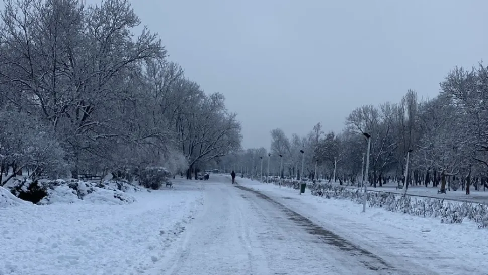 Primăria Municipiului București, sancționată contravențional de către polițiștii locali ai Sectorului 4/ Foto: PS4