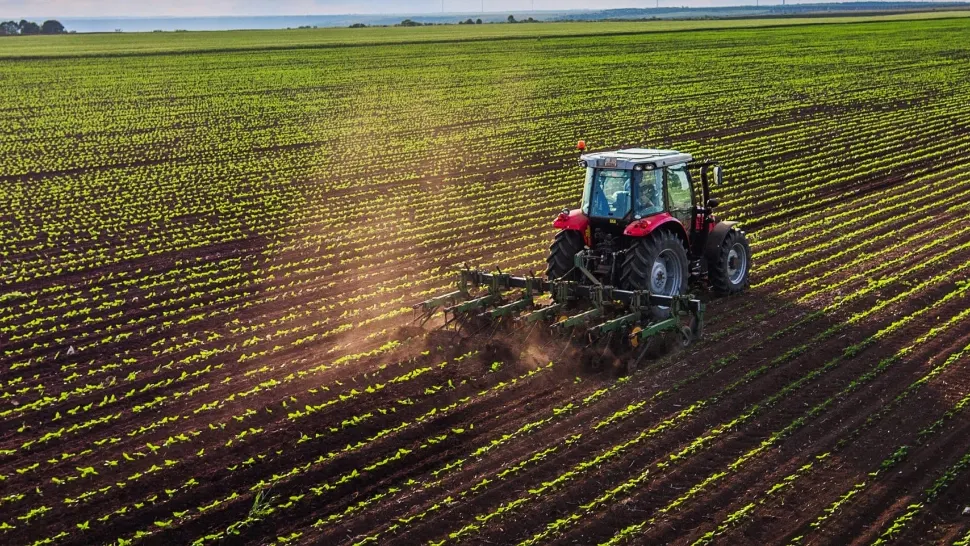 O familie din India a ajuns să exploateze 27.000 de hectare de teren agricol în România