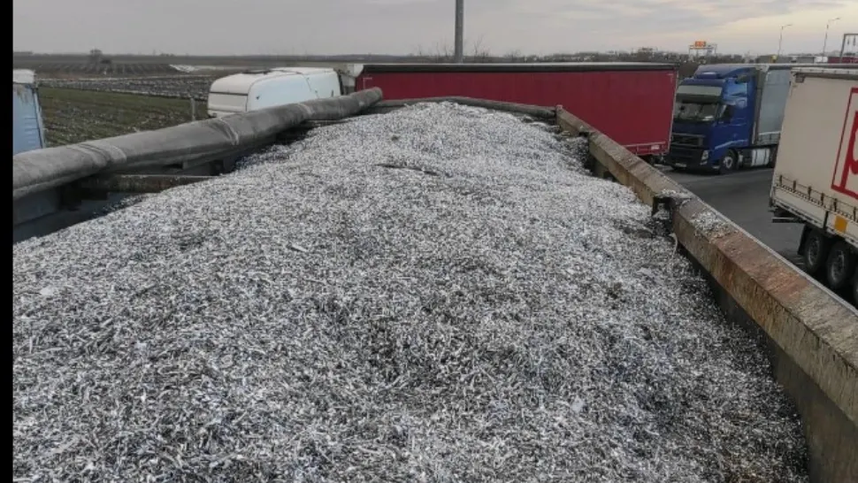 Gunoaiele erau marcate ca mărfuri second-hand. Foto/Garda Mediu