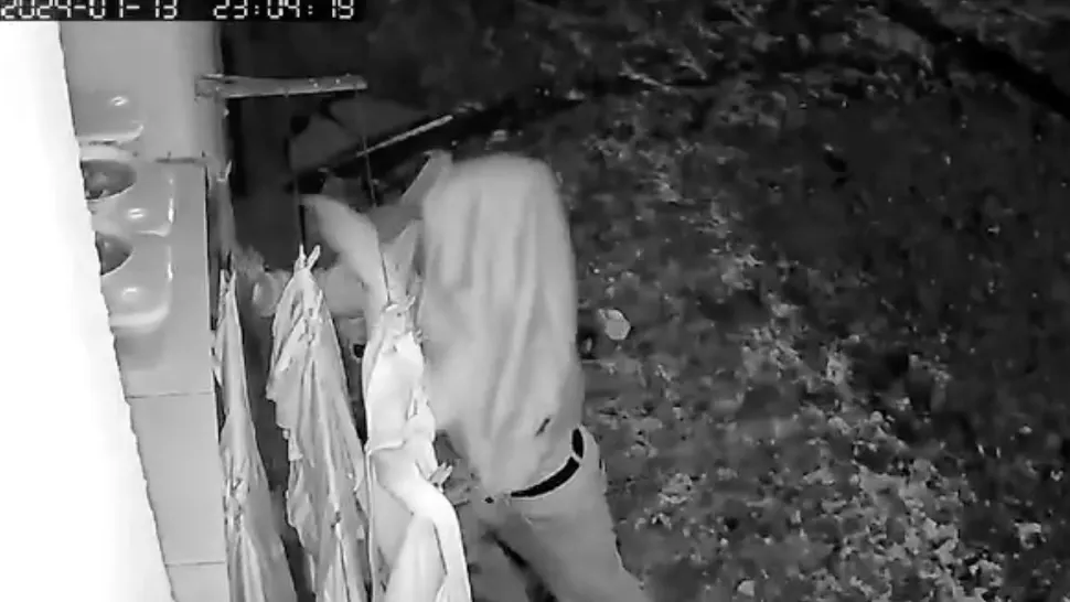 Femeie din Mehedinți, lăsată fără sarmale și piftie. Hoțul, surprins de camerele de supraveghere - VIDEO