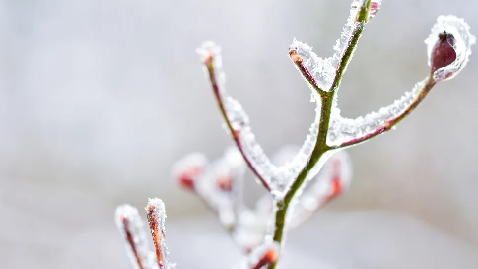 Minus 24 grade Celsius la Întorsura Buzăului, marți dimineață. Nou record de frig în România/ unsplash.com