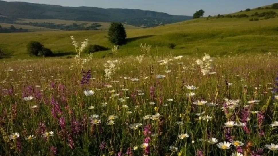 Un loc din România a ajuns în top 10 destinații turistice din lume. Foto: Profimedia