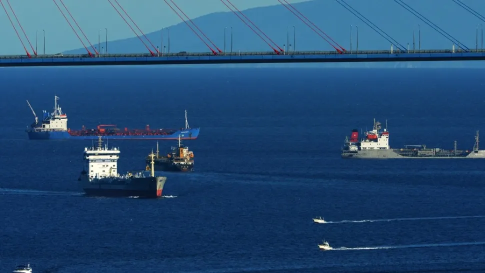 Nave în zona strâmtorii Bosfor (Profimedia)