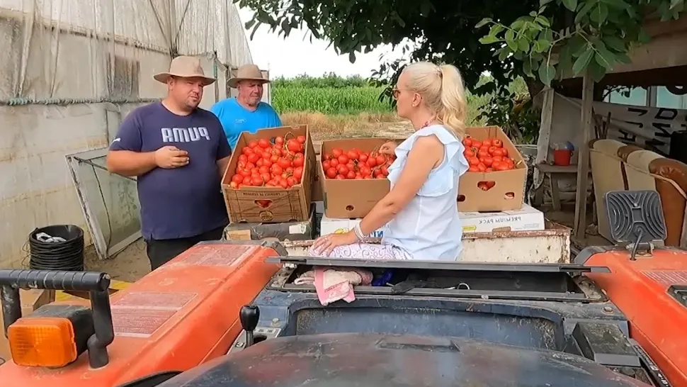 România văzută din tractor. Producătorii cinstiți sunt dați la o parte de importuri