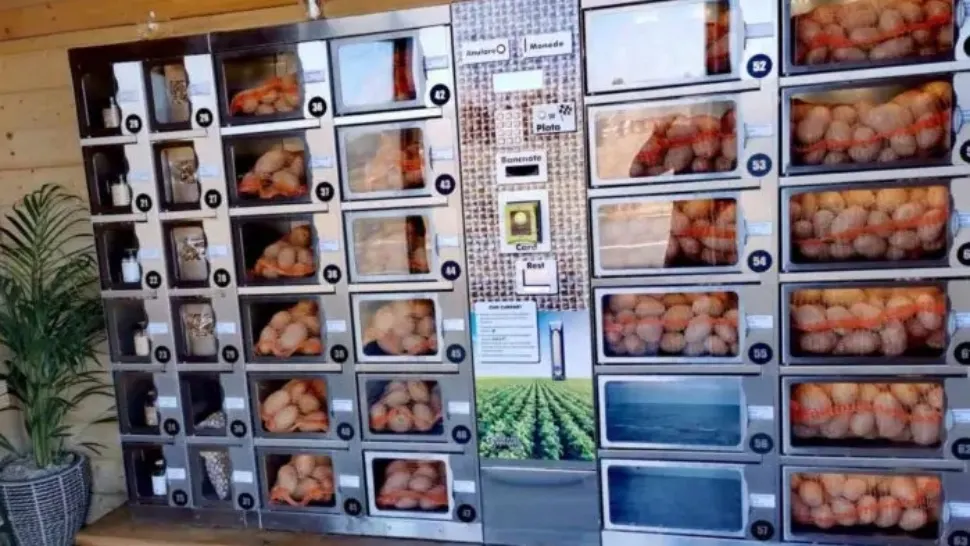 A fost deschis primul automat de cartofi din România. Foto: Transilvania Business