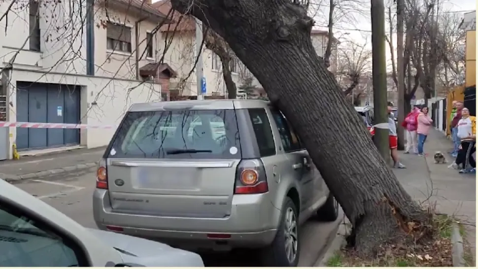 Un copac a căzut din senin peste o mașină parcată. Incident șocant în Sectorul 1 al Capitalei/ Captură video
