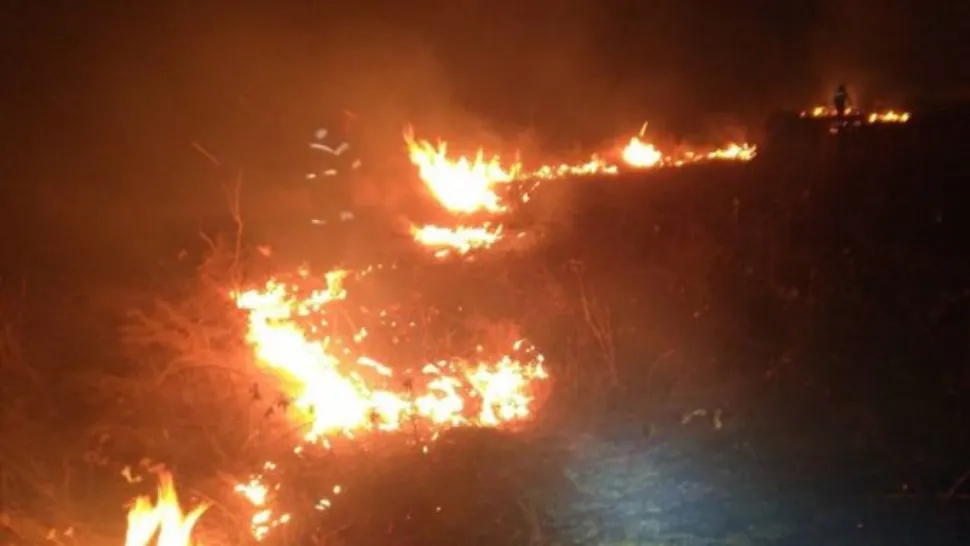 Incendiu masiv în Delta Neajlovului! Peste 50 de hectare au fost cuprinse de flăcări/ Arhivă foto