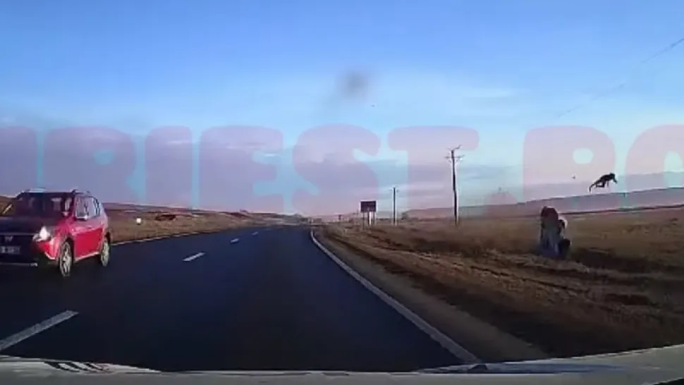 Bărbatul a fost proiectat în afara mașinii. Foto/stiriest