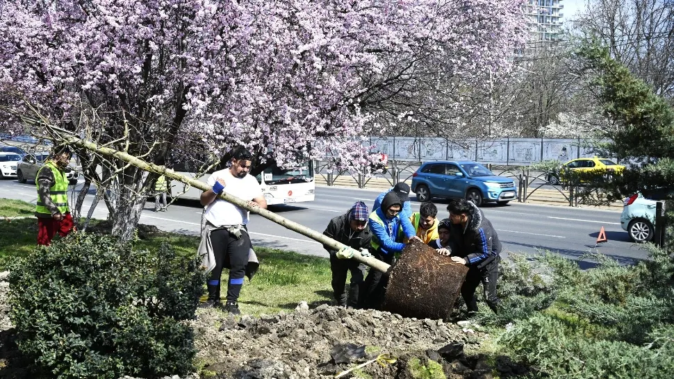 S-a dat startul unei campanii de înverzire a Sectorului 4 - FOTO