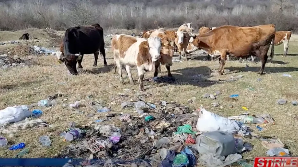 Situatie disperata intr-un sat din Romania