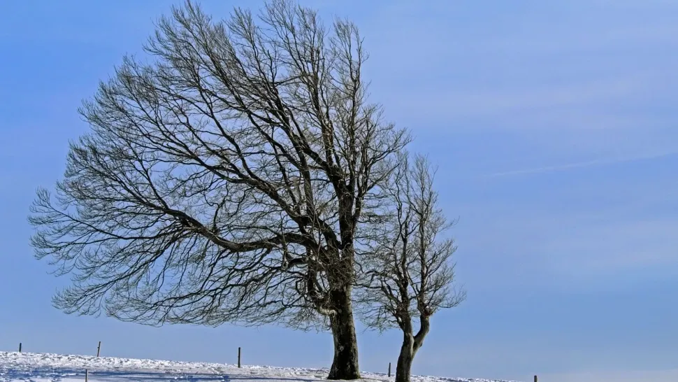Alertă meteo: cod galben de fenomene periculoase imediate. HARTA cu cele mai afectate zone